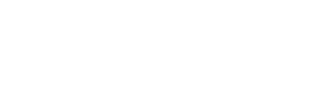 AULA VIRTUAL